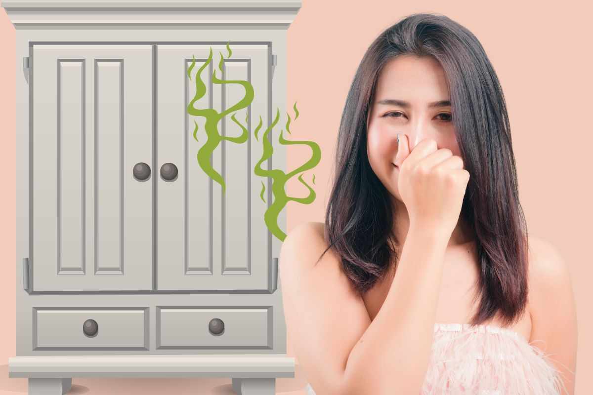 Come risolvere il cattivo odore dell'armadio