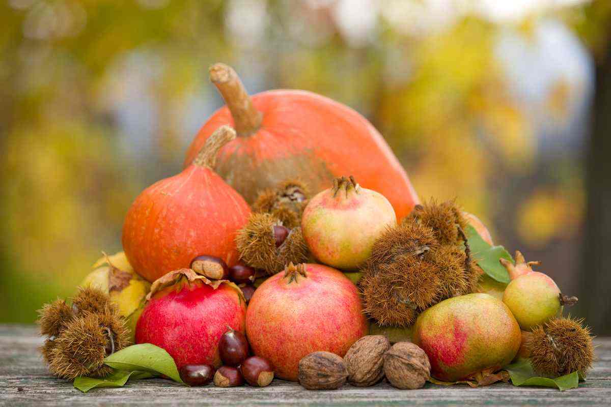 Autunno: frutto mangiare