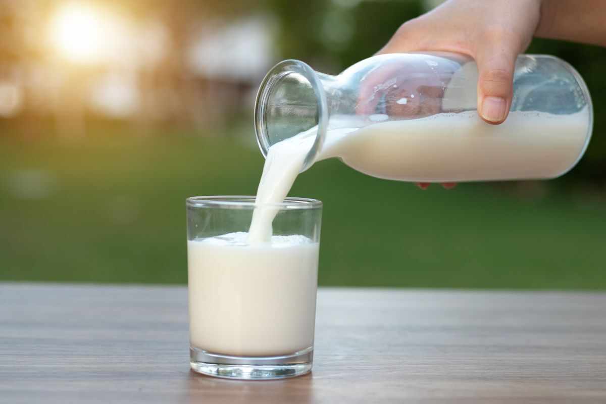 latticini a basso contenuto di grassi