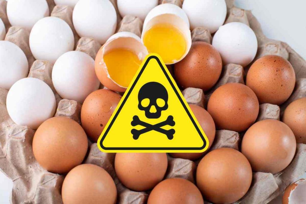 uova contaminate da pfas