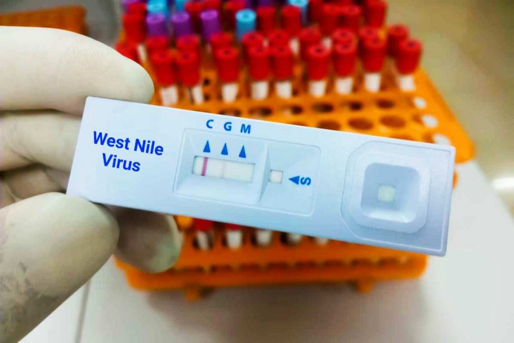 quanti casi in italia di virus west nile