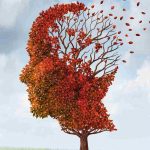 Il frutto che diminuisce il rischio di demenza senile