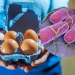 Queste uova sono state ritirate per rischio Salmonella: i lotti