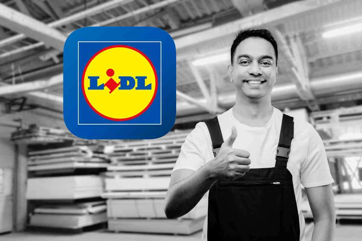 Come candidarsi da LIDL