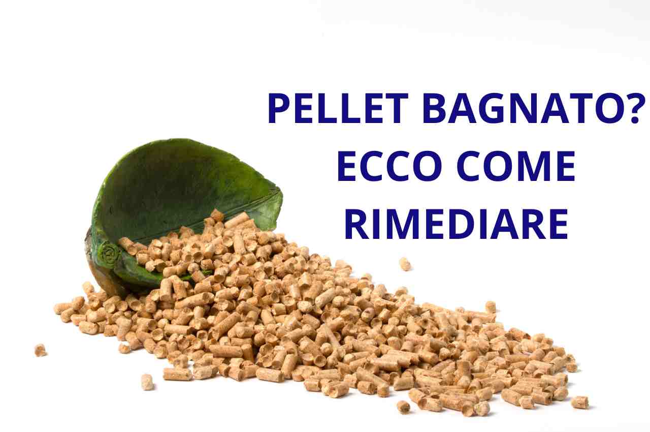 Pellet bagnato, come rimediare?