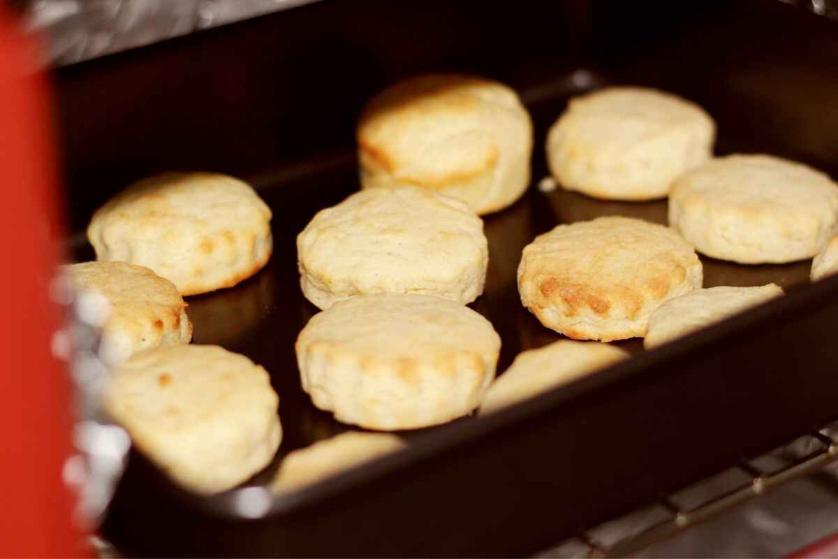 biscotti al miele ricetta