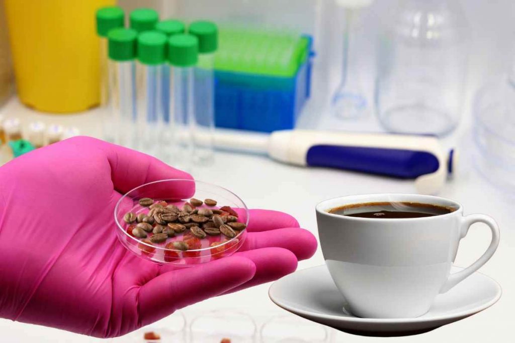cos'è il caffè sintetico fatto in laboratorio