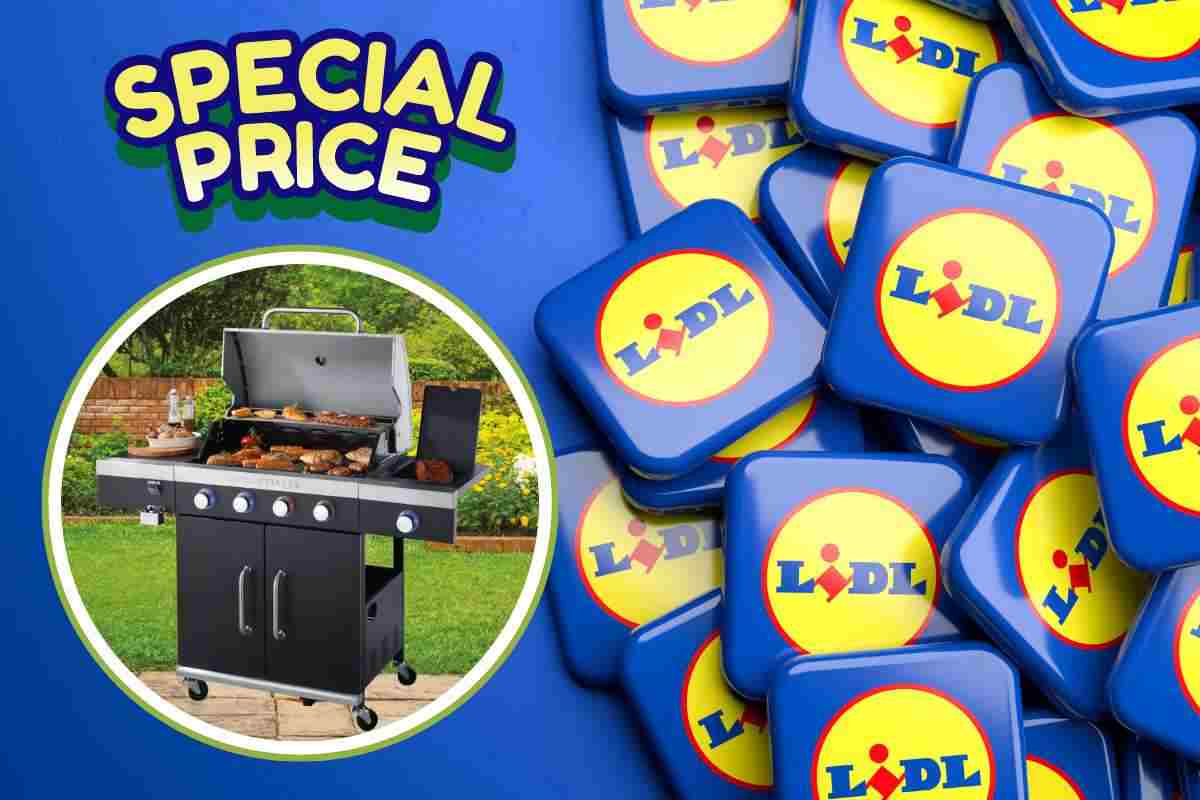 offerte lidl volantino barbecue e accessori griglia