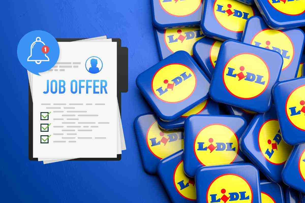 lidl assume come candidarsi