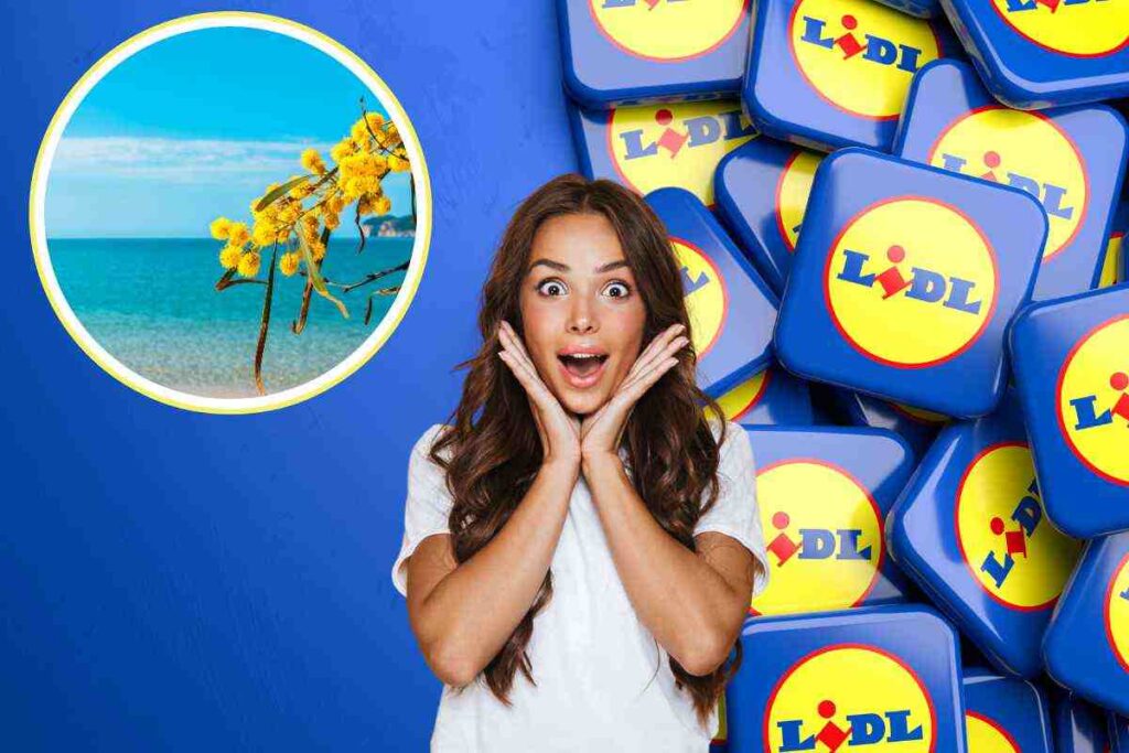 offerte viaggi lidl sardegna mare