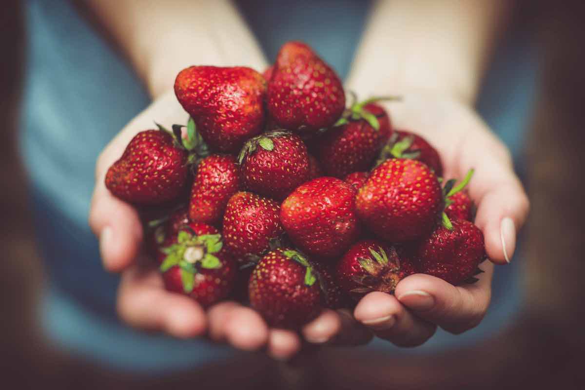 Addio pesticidi sulle fragole, il rimedio per eliminarli utilizzando ingredienti naturali