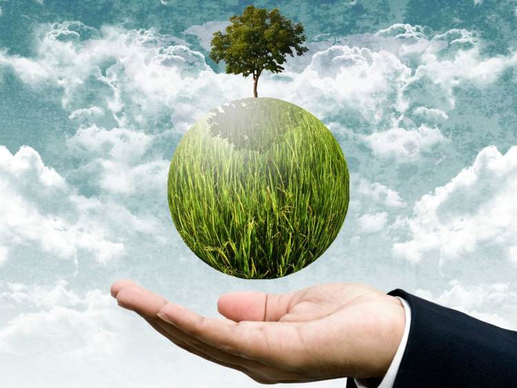Mondo verde in mano ad un uomo d'ufficio