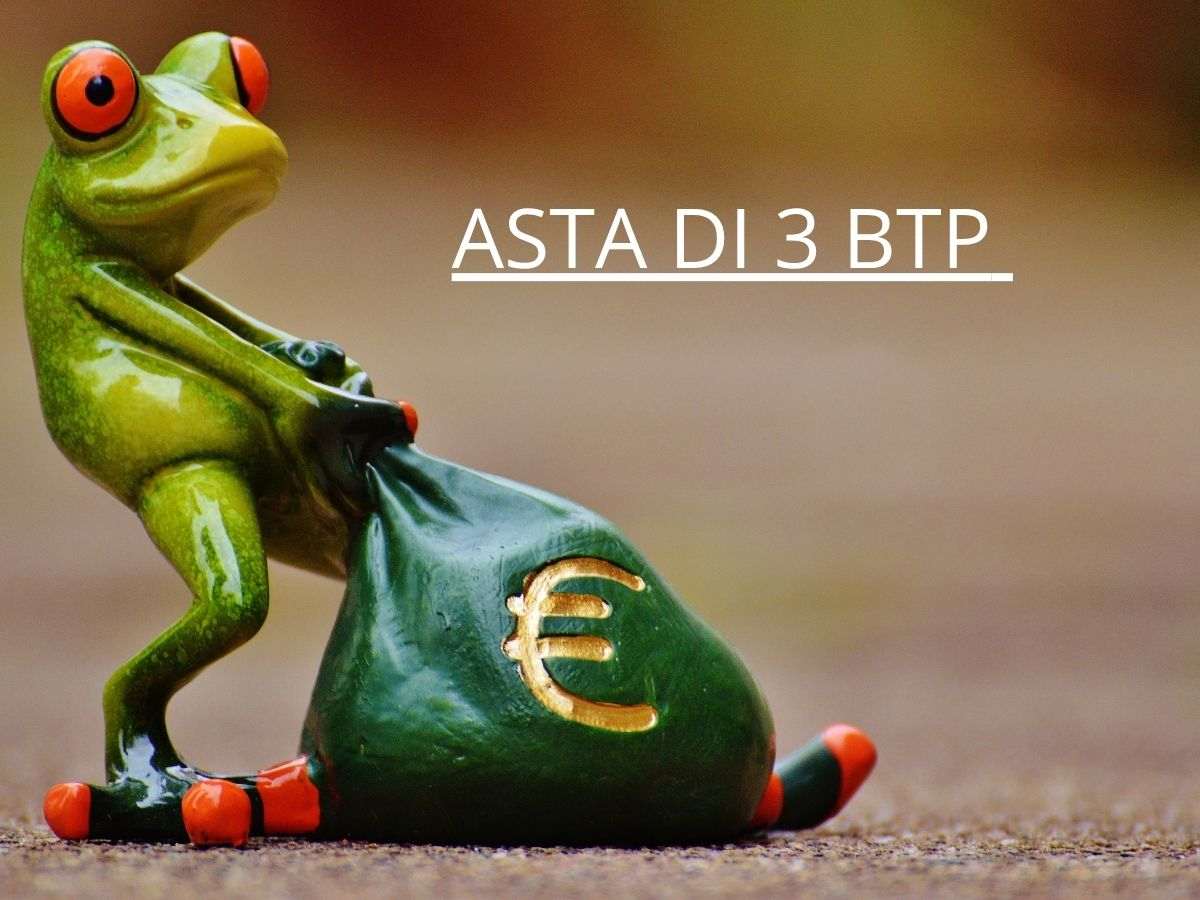 Rana che trascina un sacco di monete