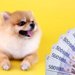 Cane con banconote da 500 euro