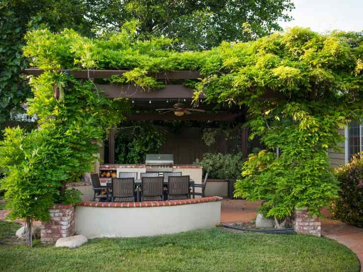 Giardino con gazebo e pianta rampicante