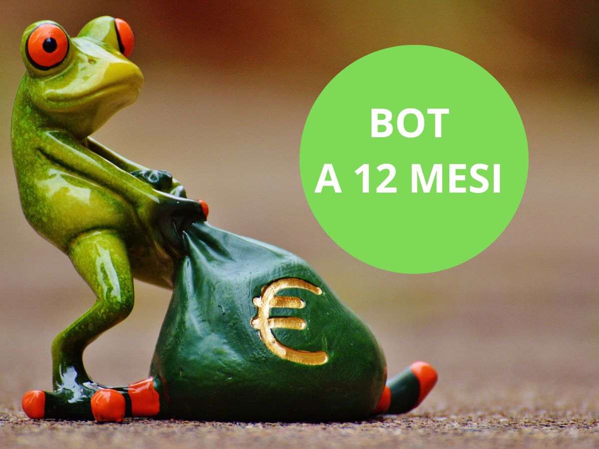 Un rana che tira un sacco di soldi e un cerchio verde con su scritto BOT a 12 mesi