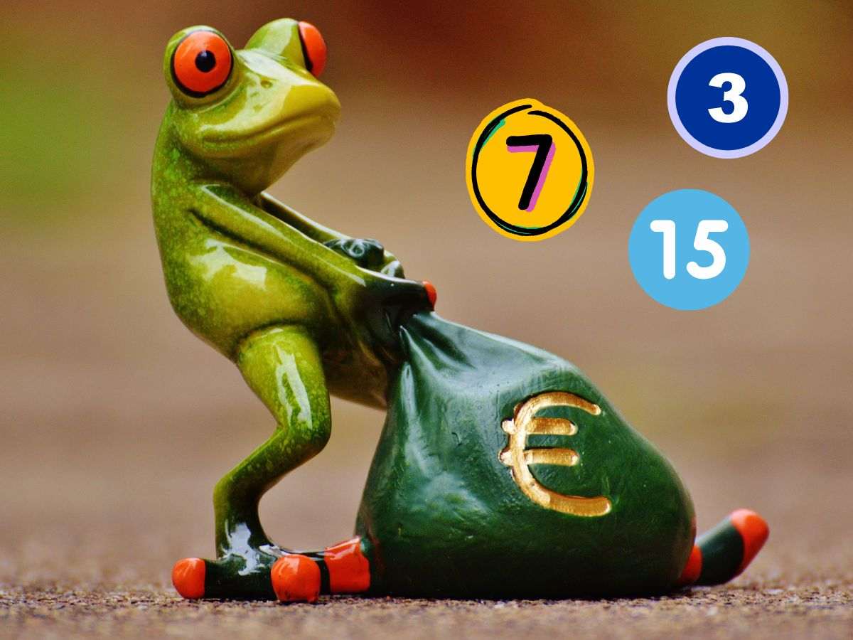 Rana che trascina un sacco di soldi