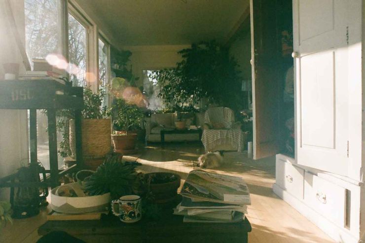 Casa con ombra e piante