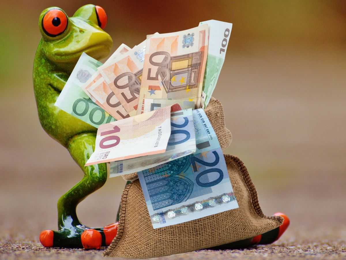 Rana che trascina sacco di soldi
