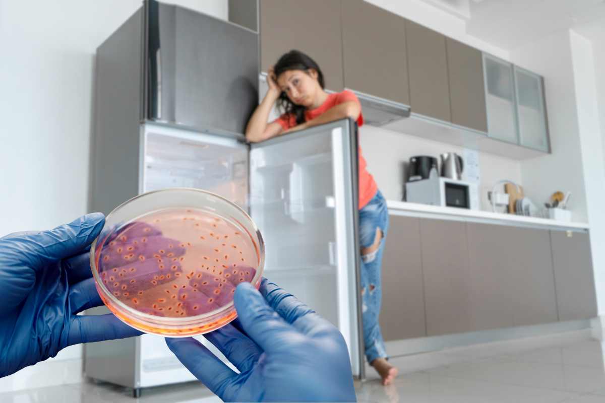 Donna apre il frigorifero e mani tiene una piastra di petri