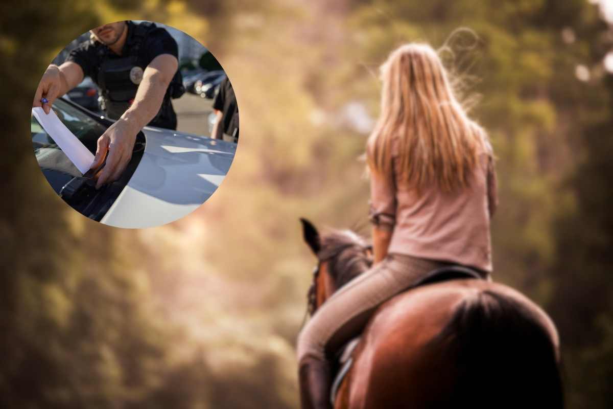 pERSONA A CAVALLO