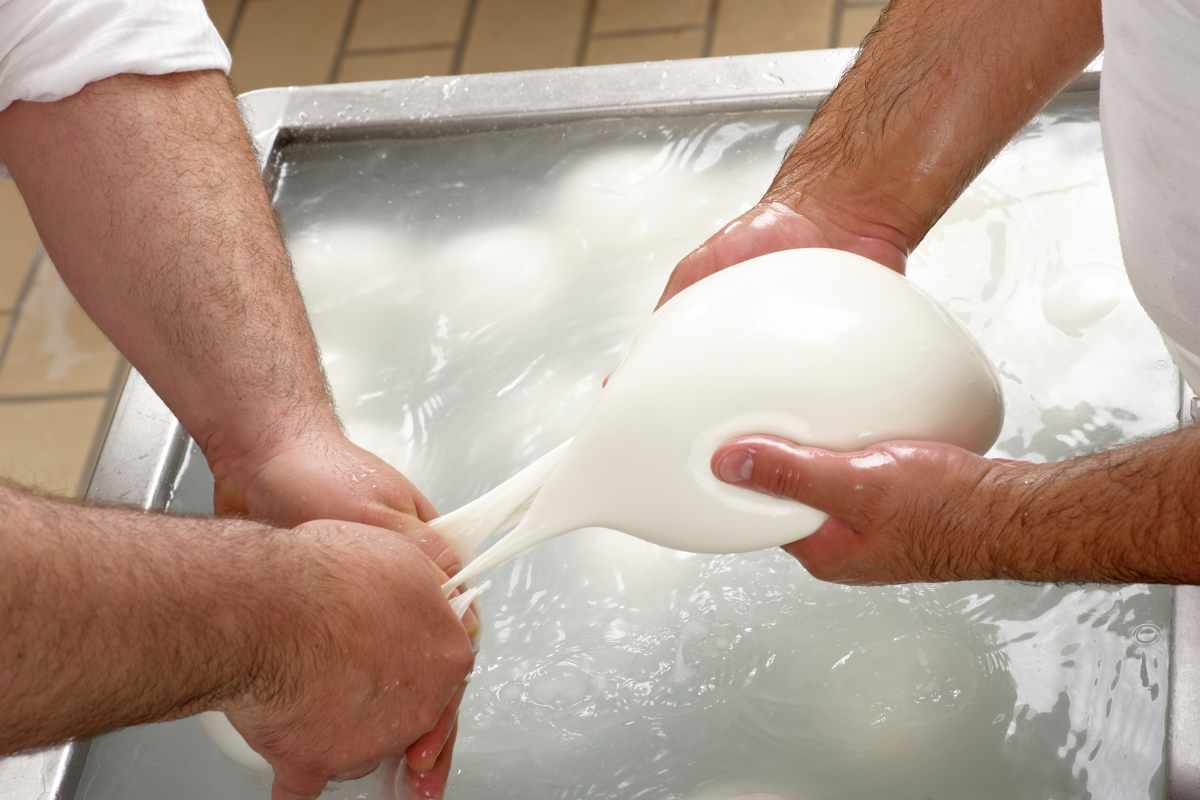 Mozzarella