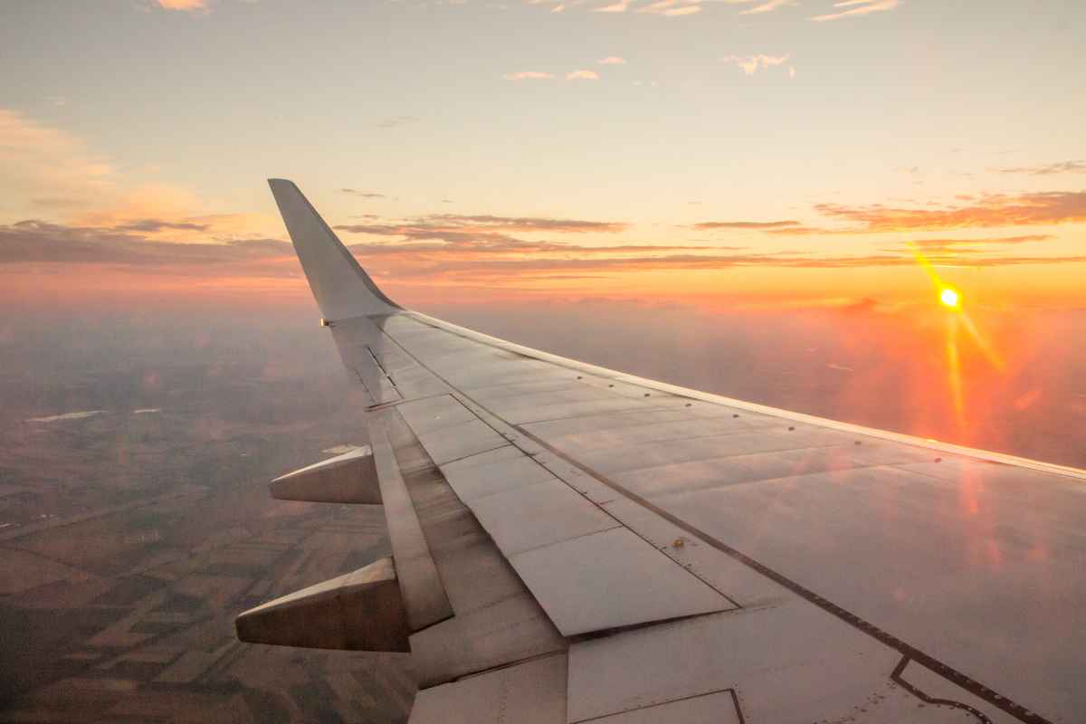 Ala dell'aereo 