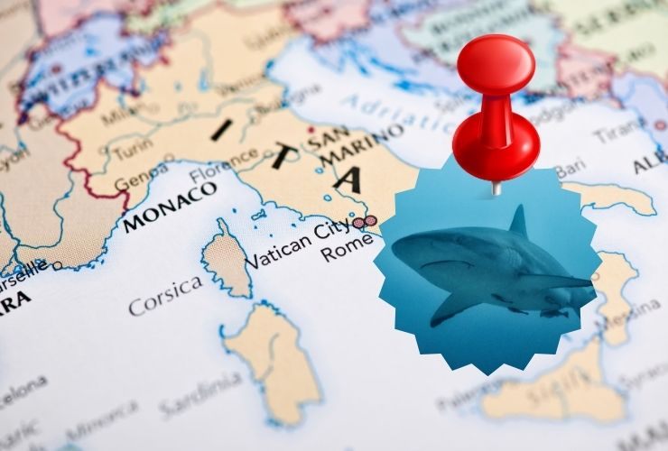 avvistamenti squali italia