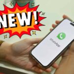 gruppi whatsapp