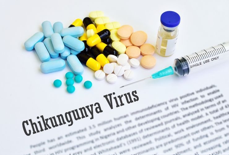 virus Chikungunya