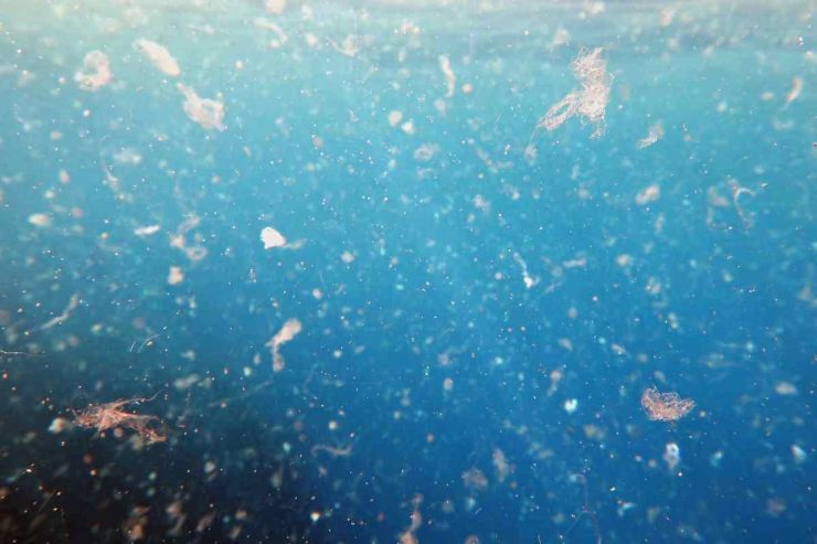 Acqua sporca