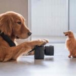 Cane scatta foto