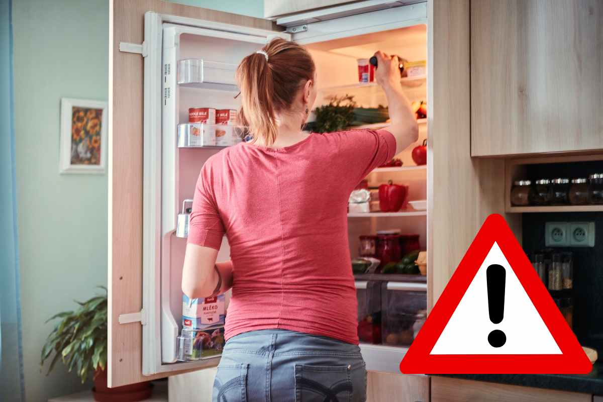 Donna di spalle che apre il frigorifero