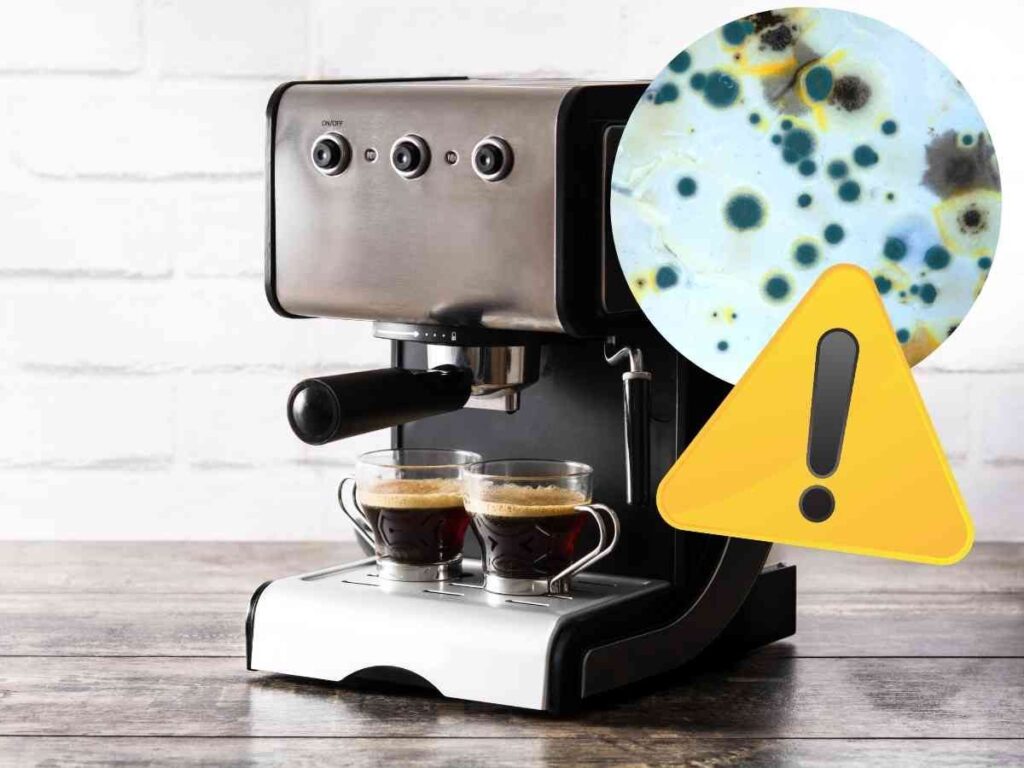 muffa macchina caffè