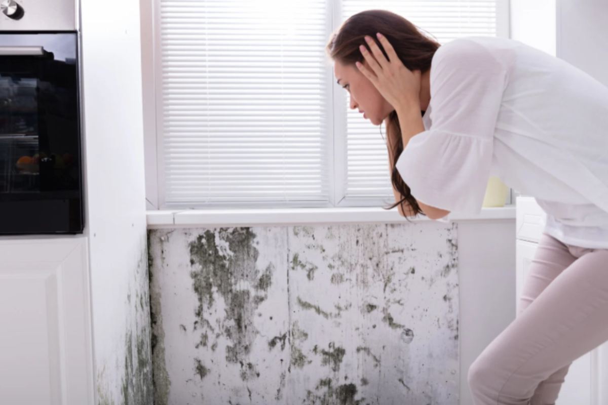 donna con le mani in testa mentre guarda la muffa sui muri
