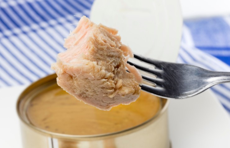 pezzo di tonno in scatola su una forchetta