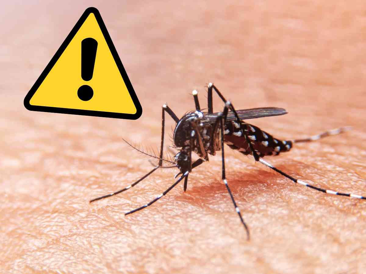 virus italia